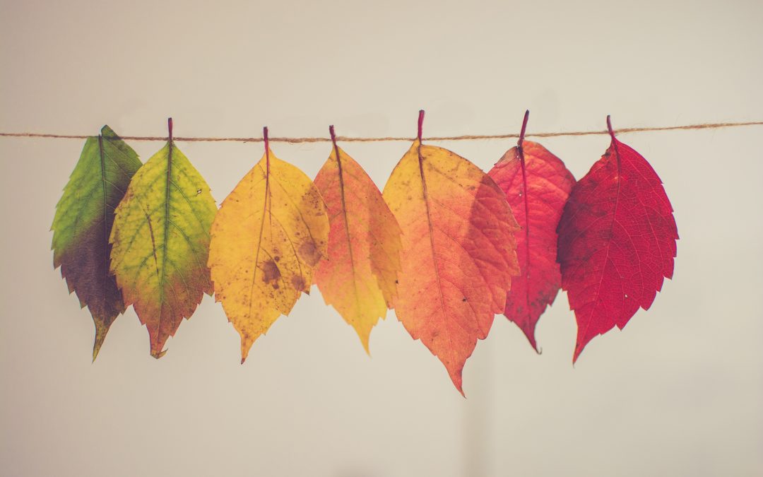 How Embracing Change Enhances Growth